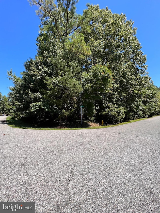 14780 Mohawk Dr, Issue, MD 20645 - photo 3