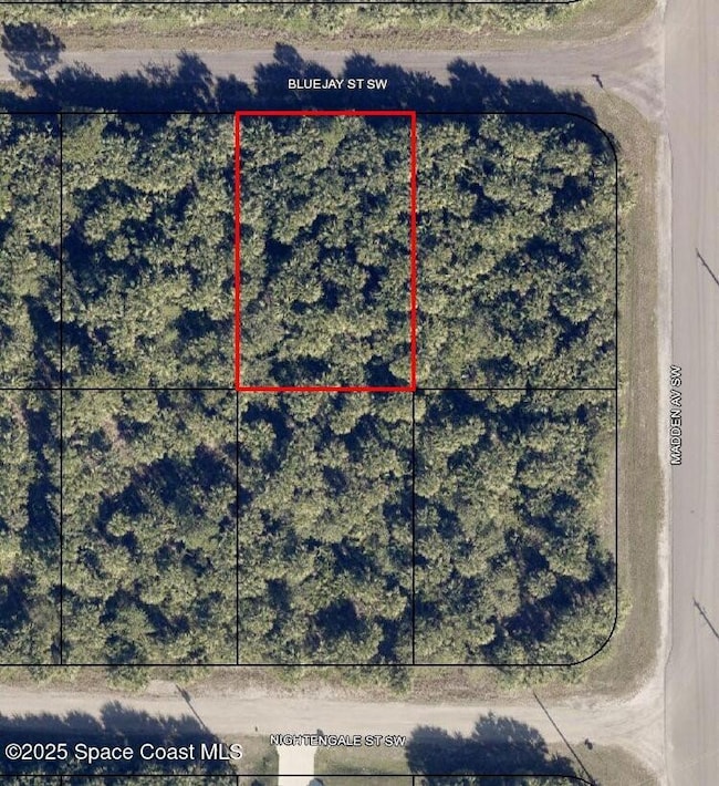 814 Bluejay St, Palm Bay, FL 32908 - photo 3