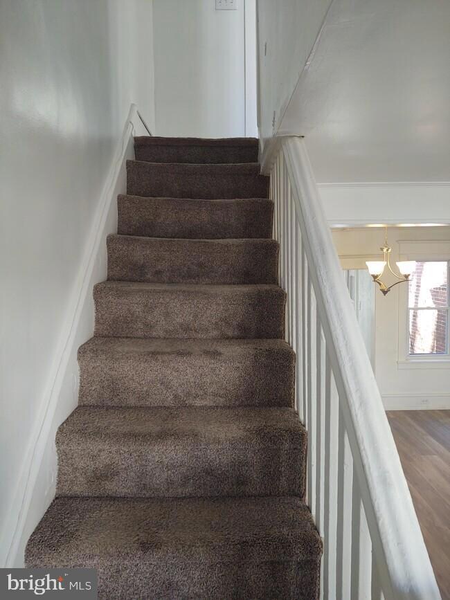 223 Cedar Ave, Oaklyn, NJ 08107 - photo 4