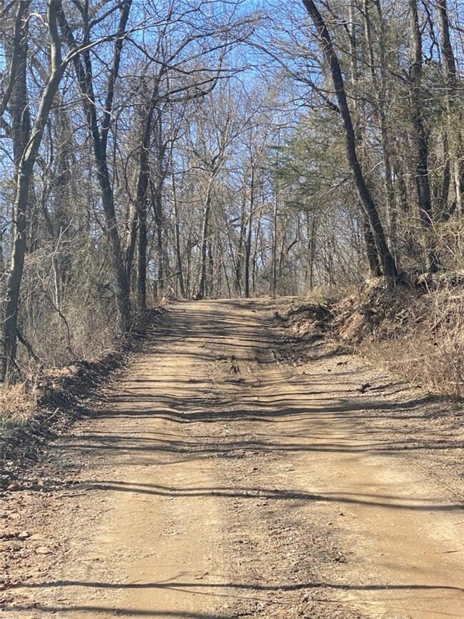 20240 Big Spring Rd, Winslow, AR 72959 - photo 2