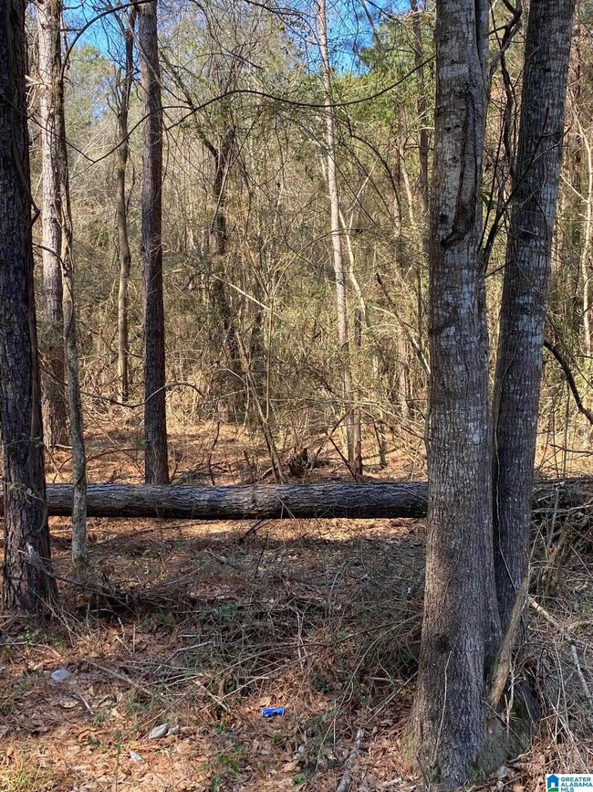 0 Crestwood Rd unit 116 1311025, Talladega, AL 35160 - photo 6