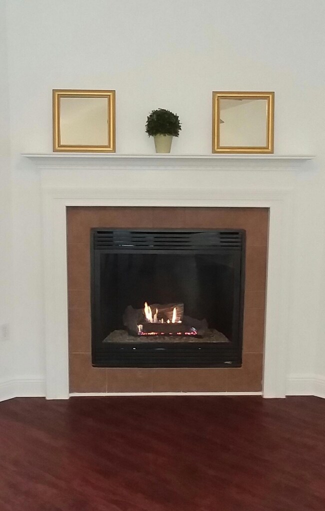 s fireplace