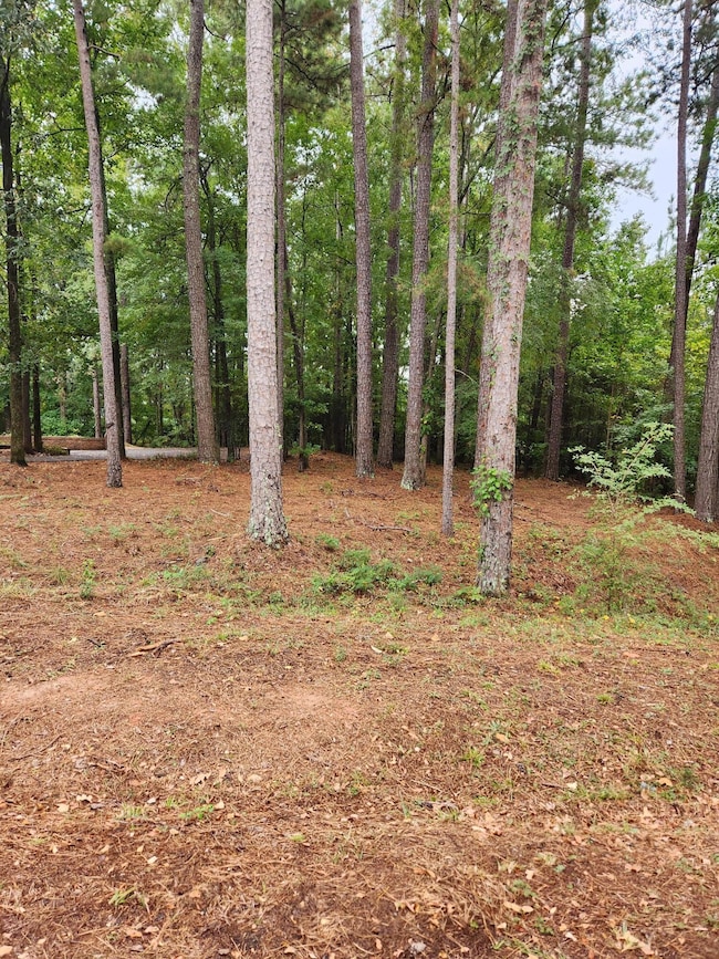 5160 Thoroughbred Way, Grovetown, GA 30813 - photo 5