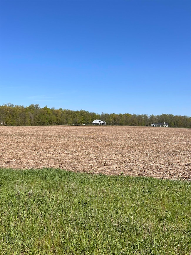 00 N 300 Rd E, Fremont, IN 46737 - photo 4