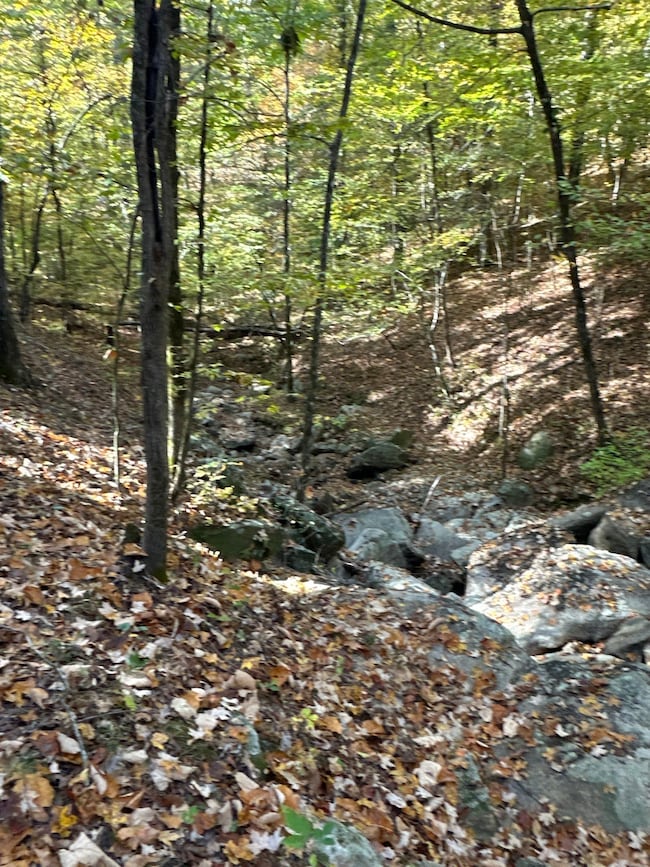 0 Dennis Creek Rd unit 22338064, Talbotton, GA 31827 - photo 3