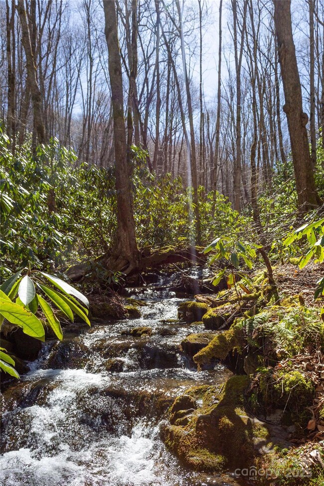 Lot 50 Bearwallow Ridge Trail unit 50, Qualla, NC 28779 - photo 4