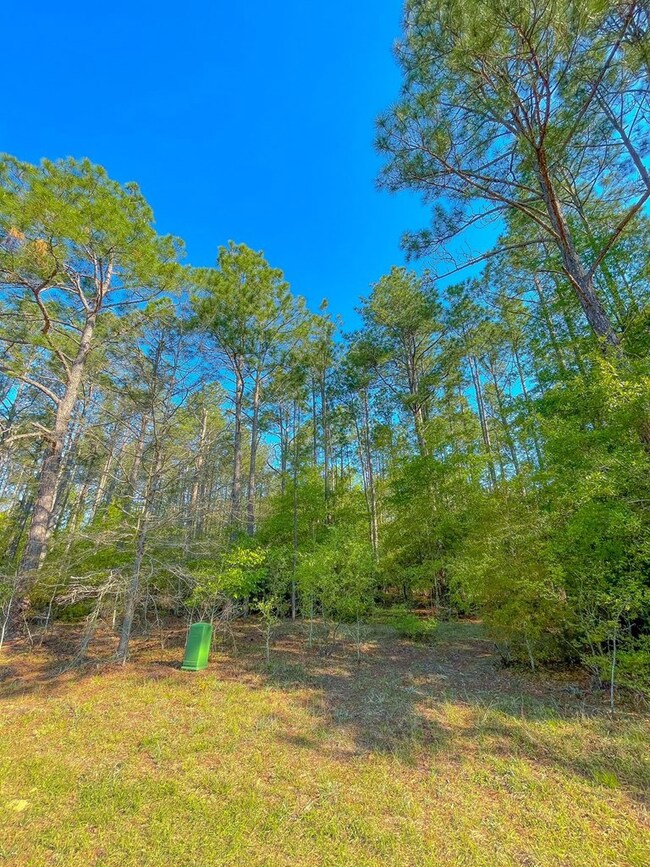0 S Cedar Point Cir, Cordele, GA 31015 - photo 2