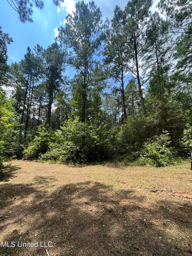 0 Nolan Felder Rd, Magnolia, MS 39652 - photo 6