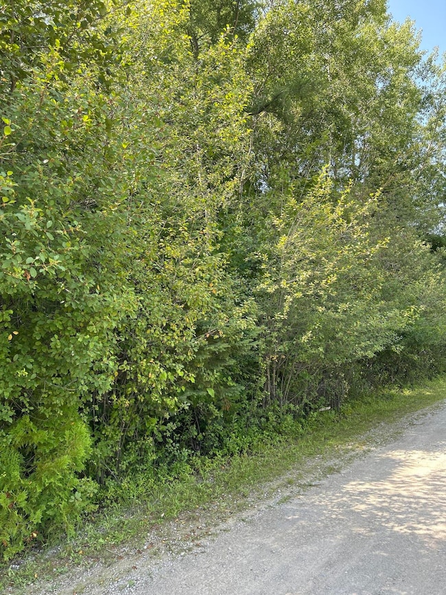 Road View 1
