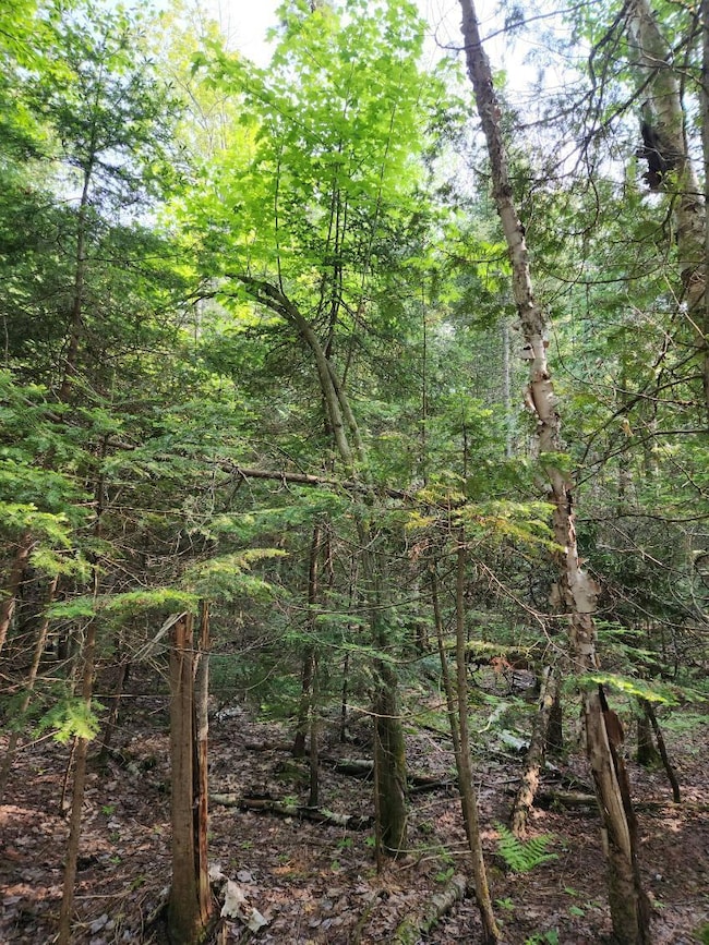 0 W Cedar Dr unit 24-1105, Sault Ste Marie, MI 49783 - photo 7