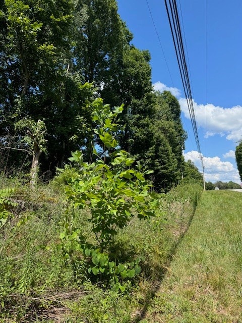 0 Monterey Hwy unit RTC2824096, Monterey, TN 38574 - photo 4