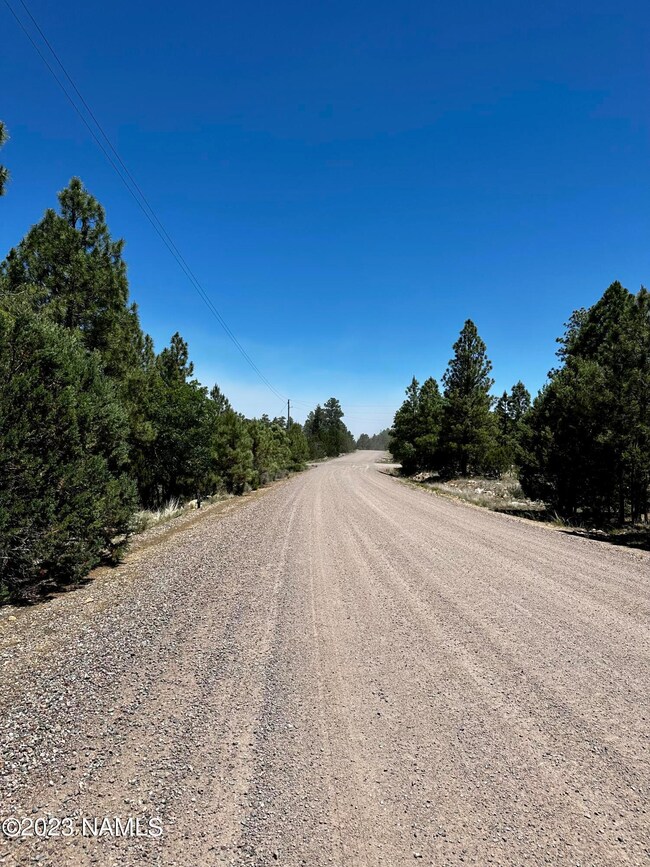 5617 Twin Oaks Loop unit 66, Happy Jack, AZ 86024 - photo 6