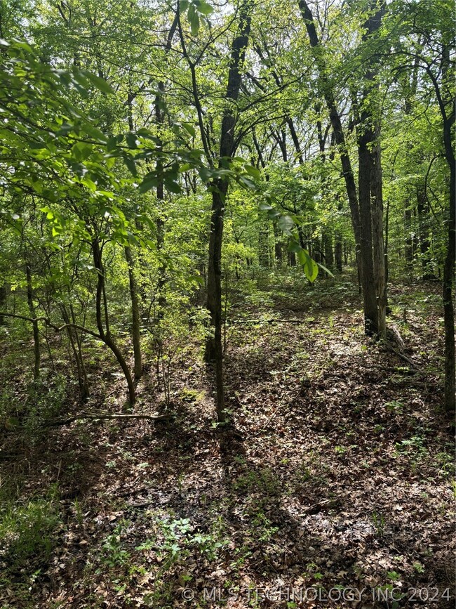 0 W Mt Carmel Rd unit 2413375, Atoka, OK 74525 - photo 7