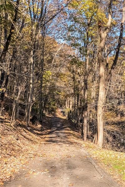 Imagine this gorgeous driveway being yours.  Incre