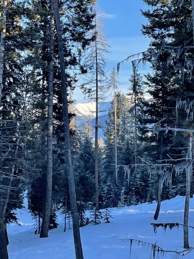 934 Montana Dr, Seeley Lake, MT 59868 - photo 6