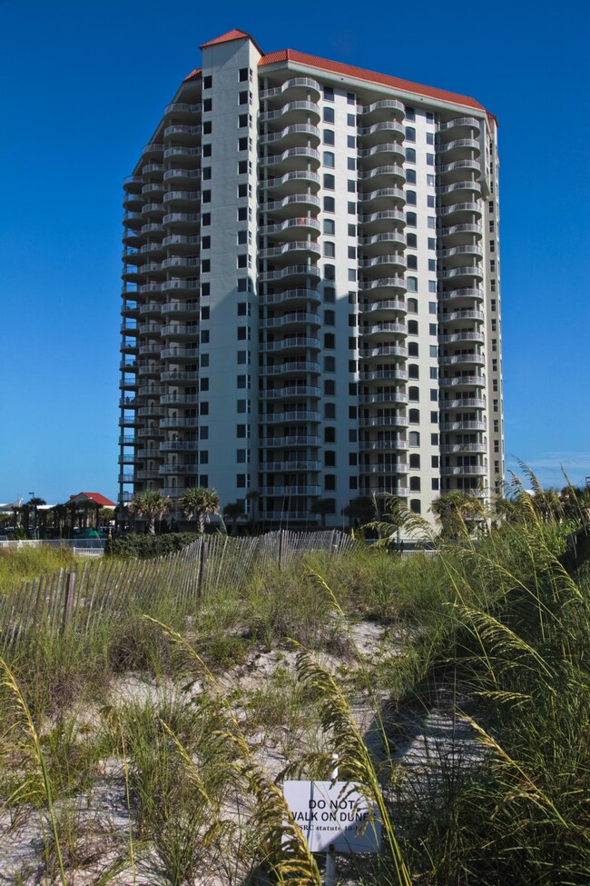 Beach Colony Of Navarre 2 183
