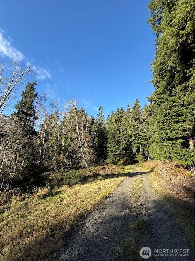 70 Dionne Ln, Naselle, WA 98638 - photo 7