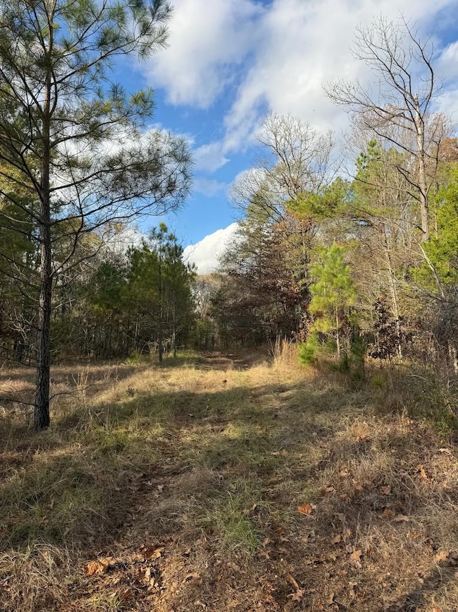 San Roc Rd, Grenada, MS 38901 - photo 6