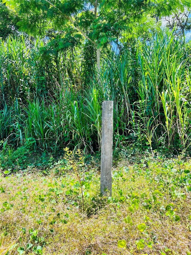 857 Carretera, Carolina, PR 00987 - photo 5