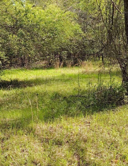 1799 Mitchell Creek Rd, Wetumpka, AL 36093 - photo 2