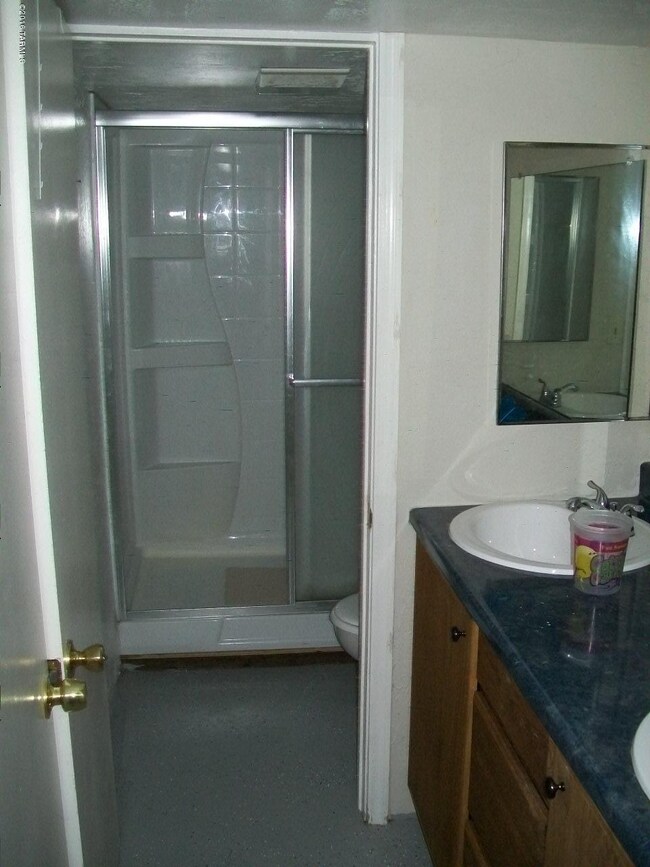 Basement bathroom