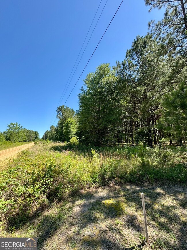 0 Sheppard Rd unit 10545353, Tennille, GA 31089 - photo 3