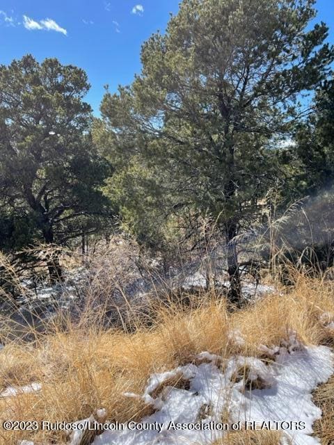 L1 High Ridge Trail, Alto, NM 88312 - photo 2