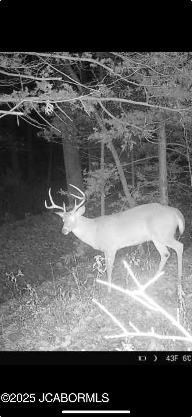 3312 Honey Creek Rd, Jefferson City, MO 65101 - photo 4