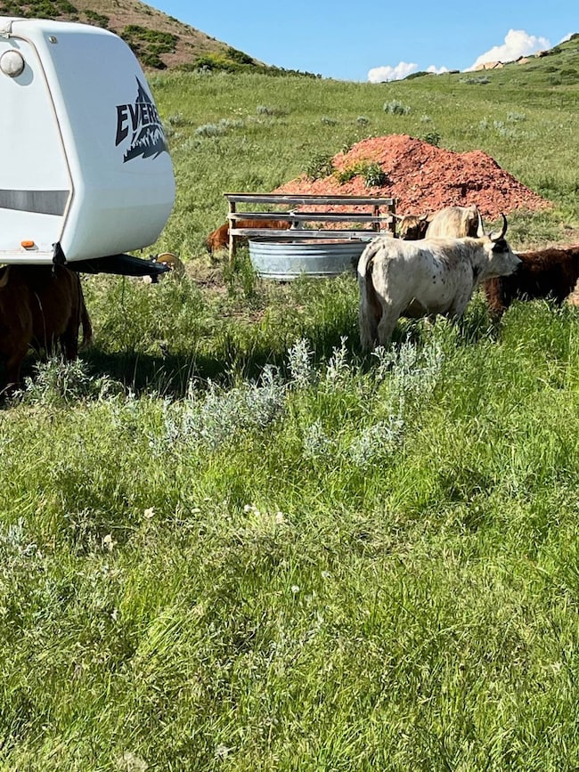 Tract 10 Painted Hills Dr unit 10, Sheridan, WY 82801 - photo 5