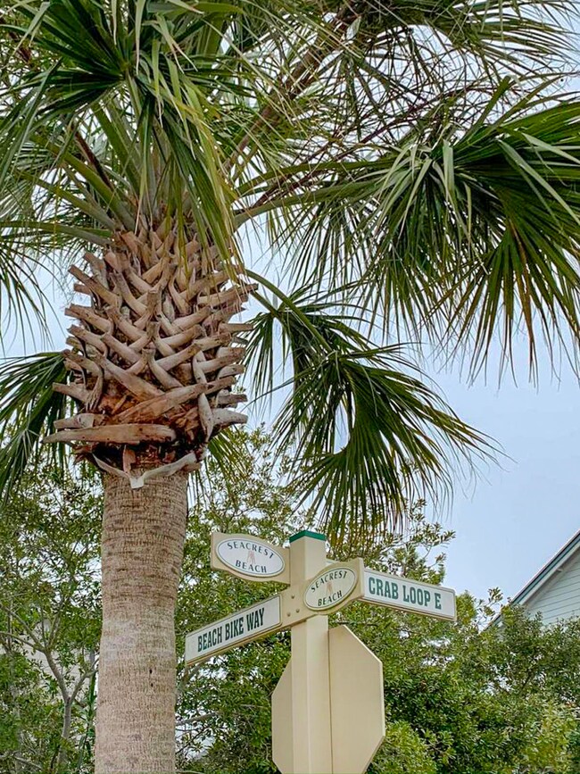 Beach Way and Crab Loop