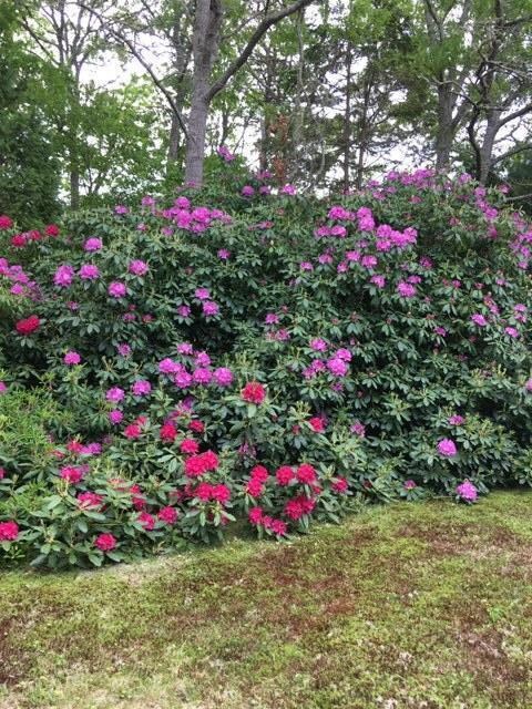 15 Dancing Brook Rd, South Yarmouth, MA 02664 - photo 7