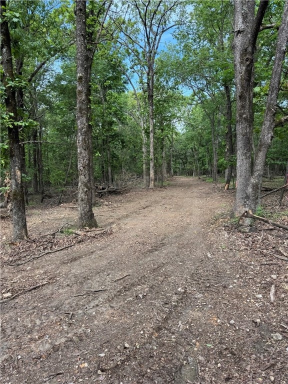  the road around the entire 9.10 acres .