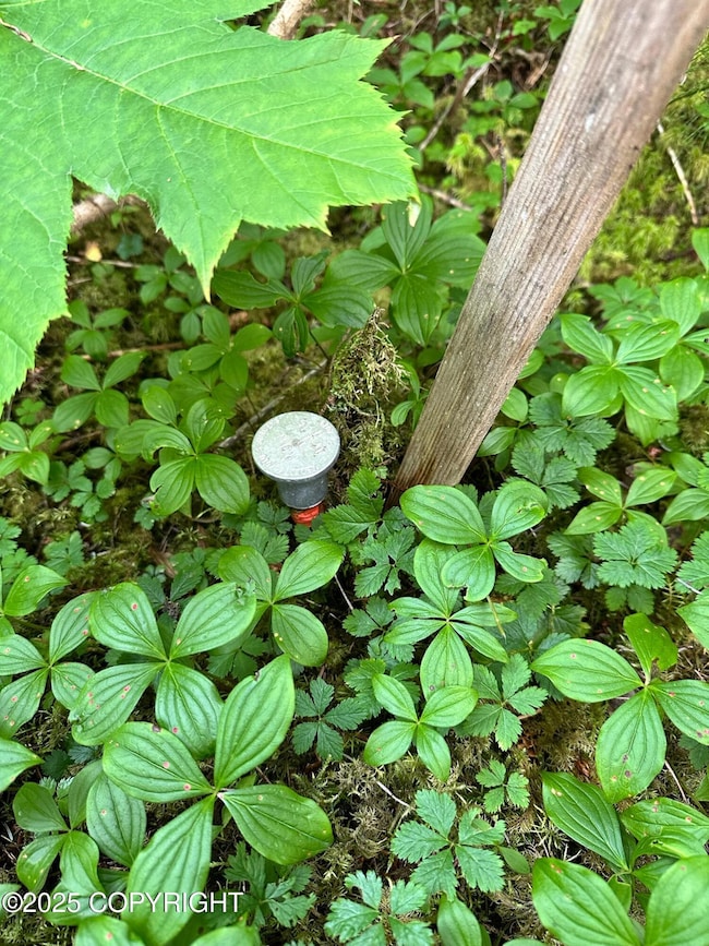 L17 B11 Malcolm St, Seldovia, AK 99663 - photo 4