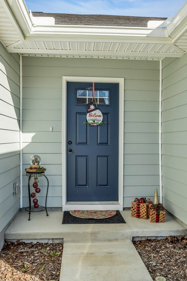 226 Sir Barton Ct, Smyrna, TN 37167 - photo 4