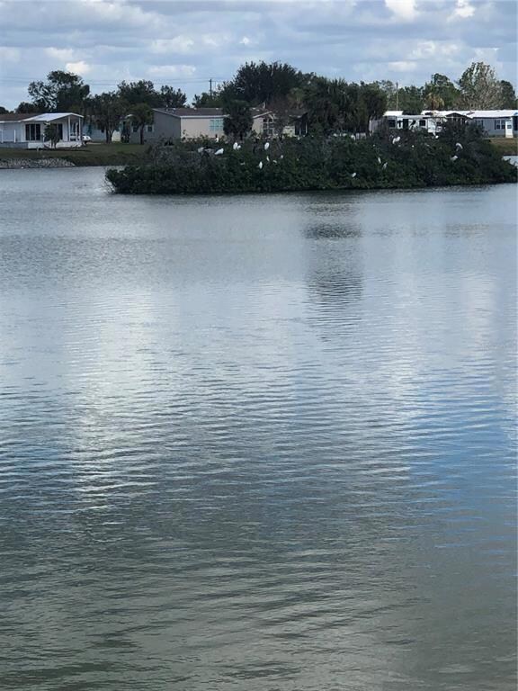 Nice view to watch birds and families of duck