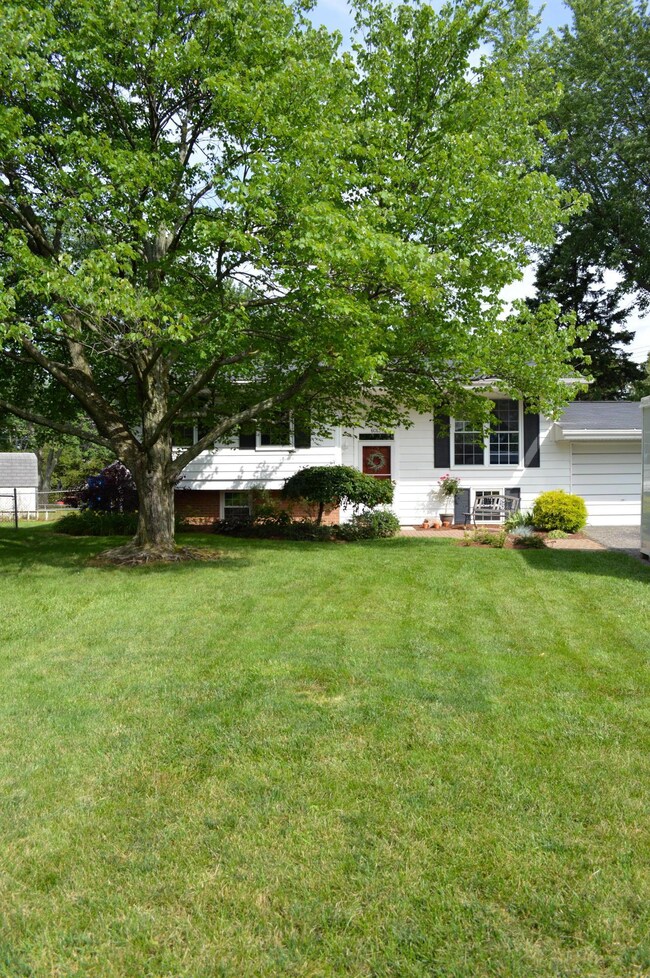 Front Yard