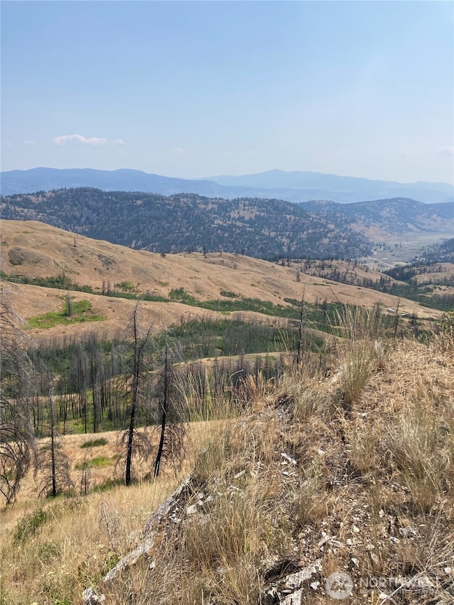 1111 Bottom Rd, Tonasket, WA 98855 - photo 2