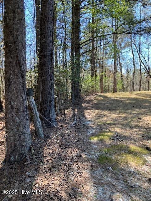 00 Wildberry Rd, Smithfield, NC 27577 - photo 5