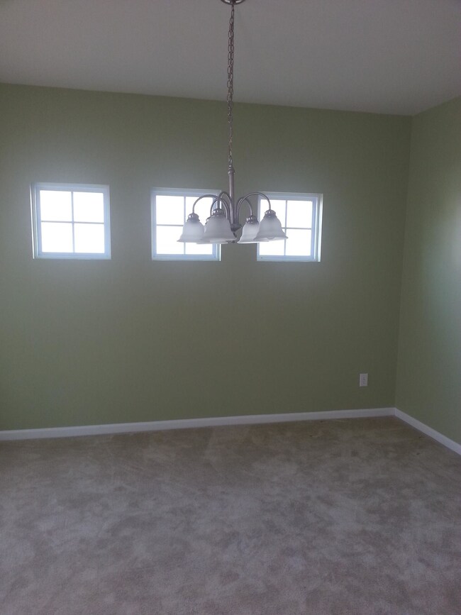 pic3