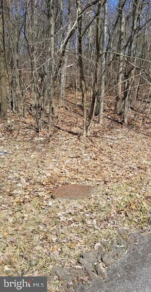 23A N Hunter Hwy, Drums, PA 18222 - photo 4