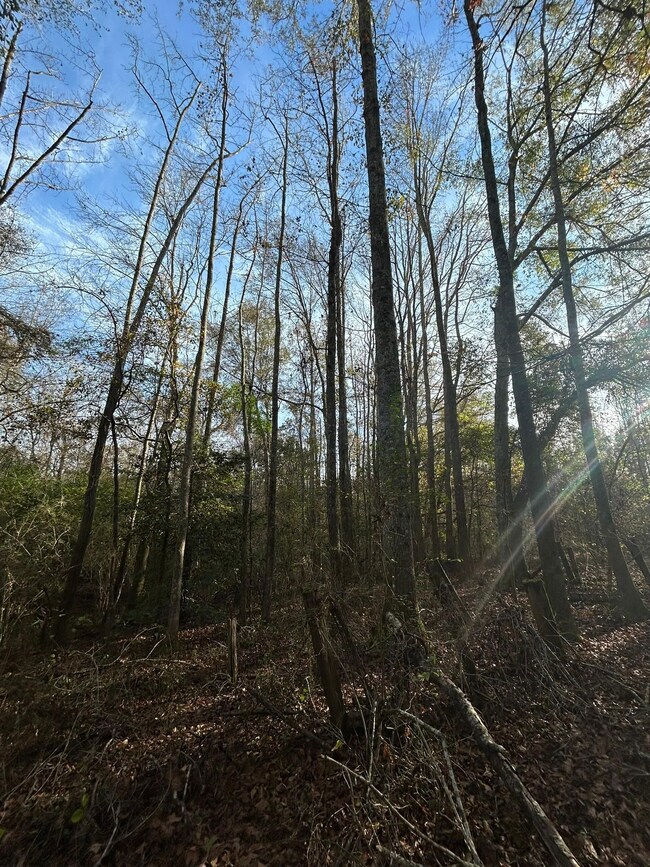 5733 County Road 30, Luverne, AL 36049 - photo 7