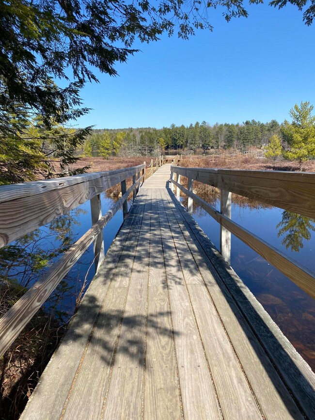 Lot 64 Knights Hill Rd, Bridgton, ME 04009 - photo 7