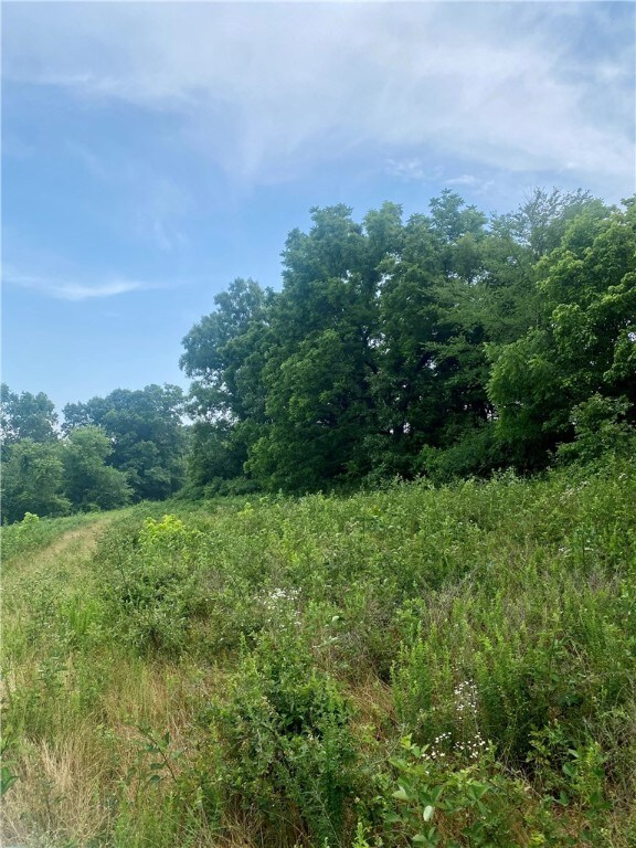 Good pasture and large trees.