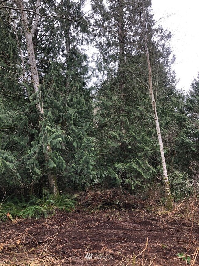 0 Lot 17 Rex St, Point Roberts, WA 98281 - photo 4