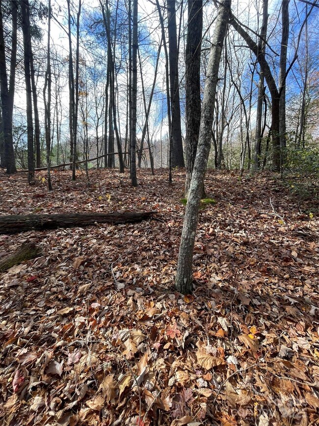 00 Pinnacle Falls Ln, Zirconia, NC 28790 - photo 7