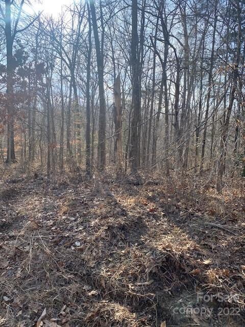 0 Katie Ln unit 48, Statesville, NC 28625 - photo 2