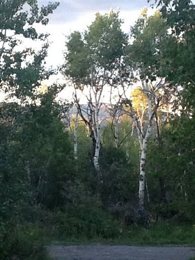 14392 Parkview Dr, Collbran, CO 81624 - photo 4