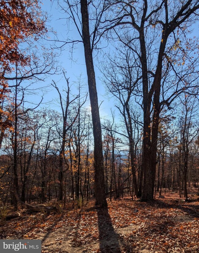 0 Parkside Dr unit WVMO2005316, Berkeley Springs, WV 25411 - photo 5