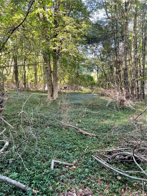 0 Carolina Back Rd, Charlestown, RI 02813 - photo 5