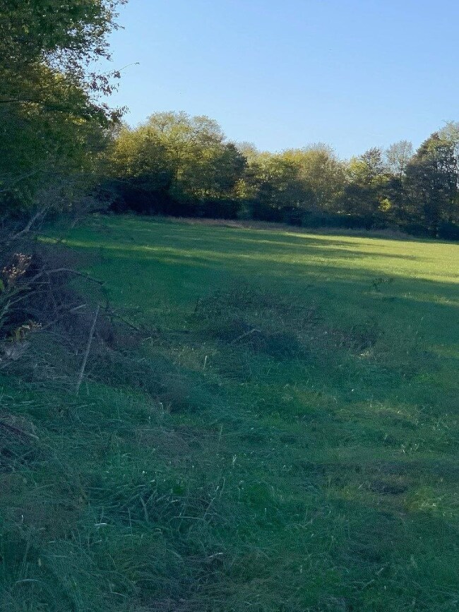 UPDATED PICTURE AUGUST 2020... AFTER HAY CUT....